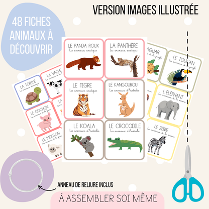 Imagier - Les animaux (version illustrée)