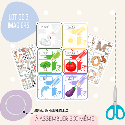 Lot de 3 imagiers éducatifs – Alphabet, Chiffres &amp; Couleurs