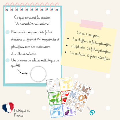 Lot de 3 imagiers éducatifs – Alphabet, Chiffres &amp; Couleurs