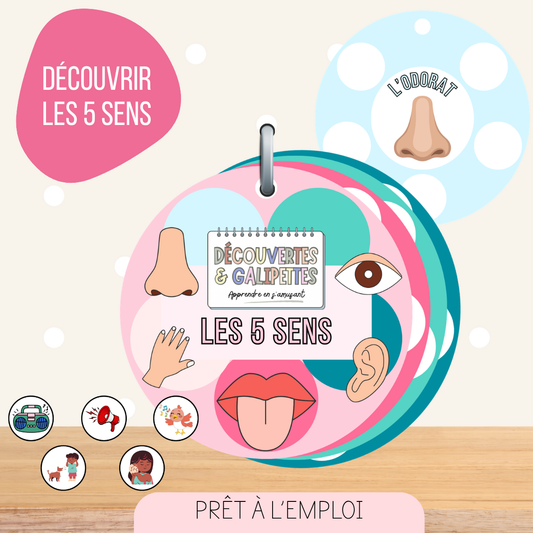 Imagier des 5 sens