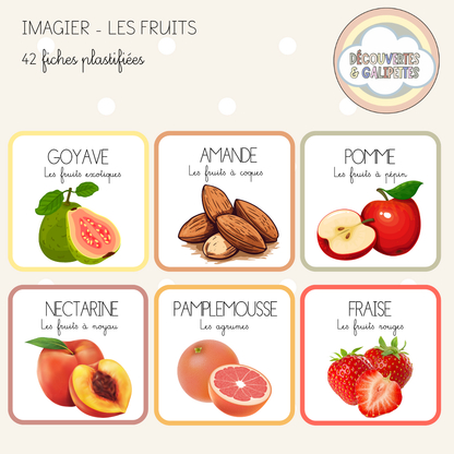 Imagier - Les fruits