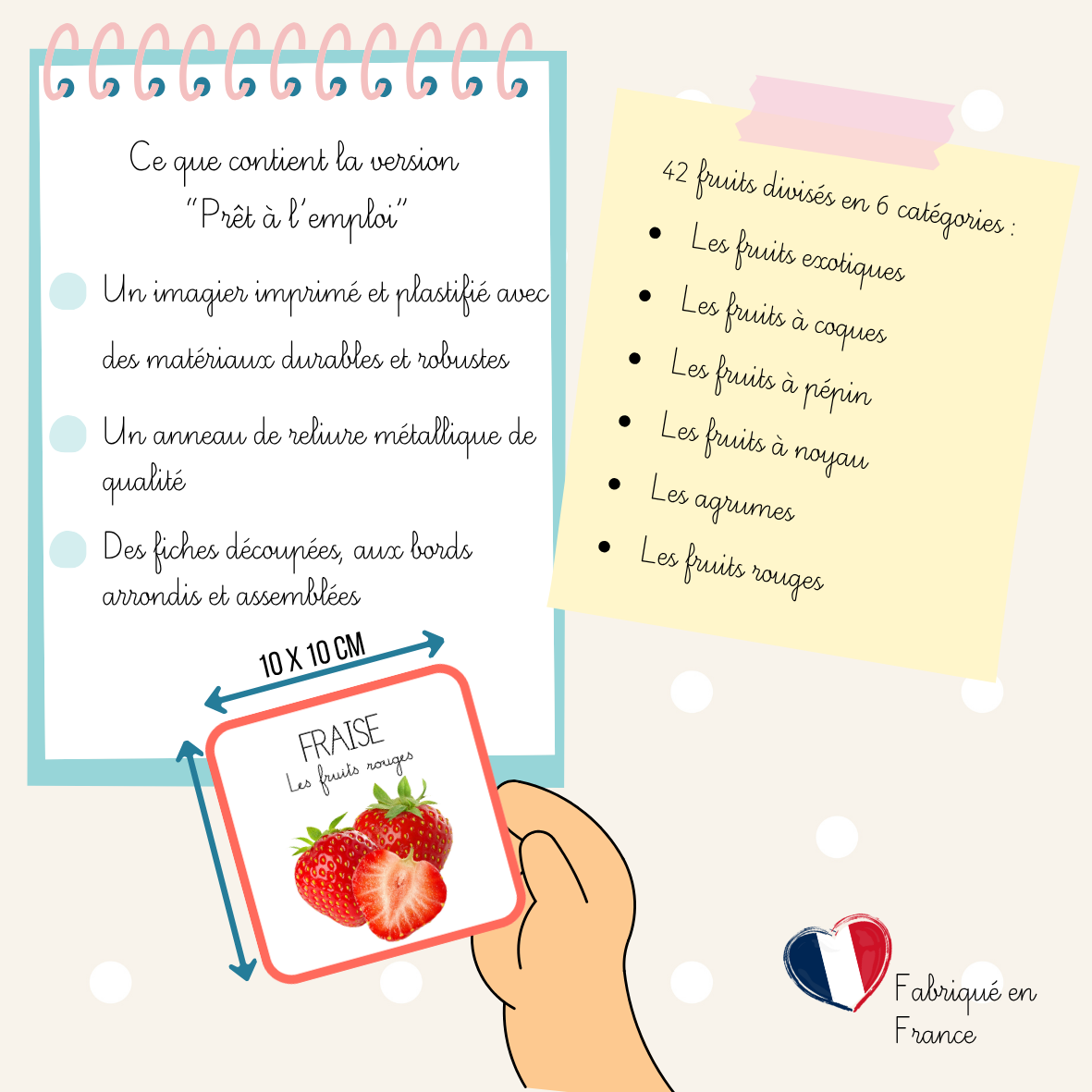 Imagier - Les fruits