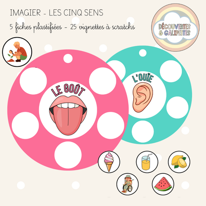 Imagier des 5 sens
