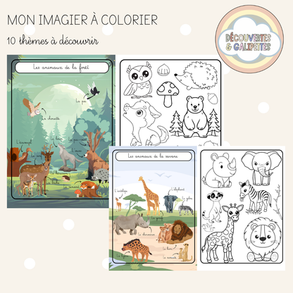 Imagier à colorier