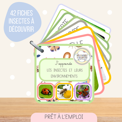 Imagier - Les insectes