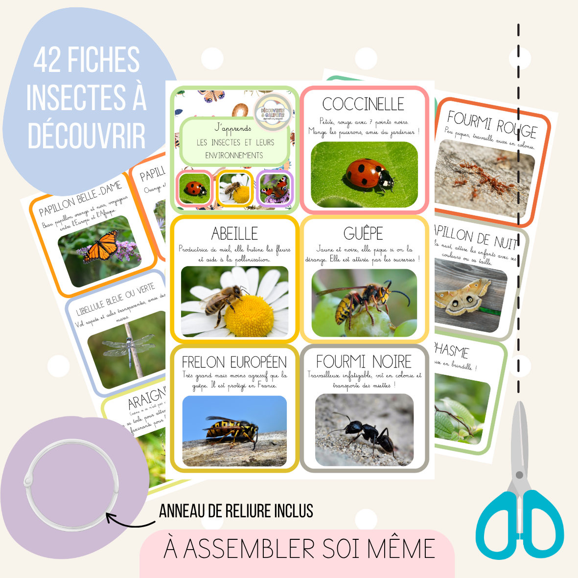 Imagier - Les insectes