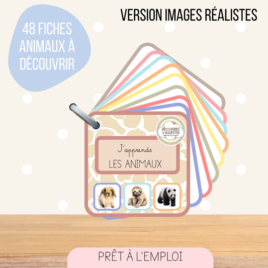 Imagier - Les animaux (version réaliste)