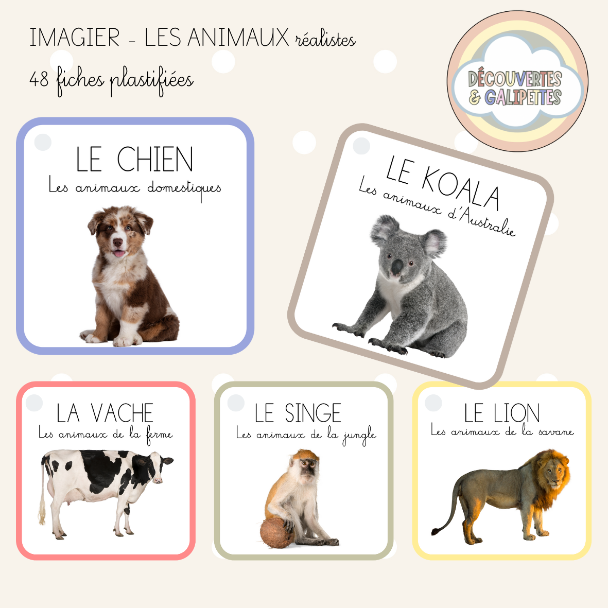 Imagier - Les animaux (version réaliste)