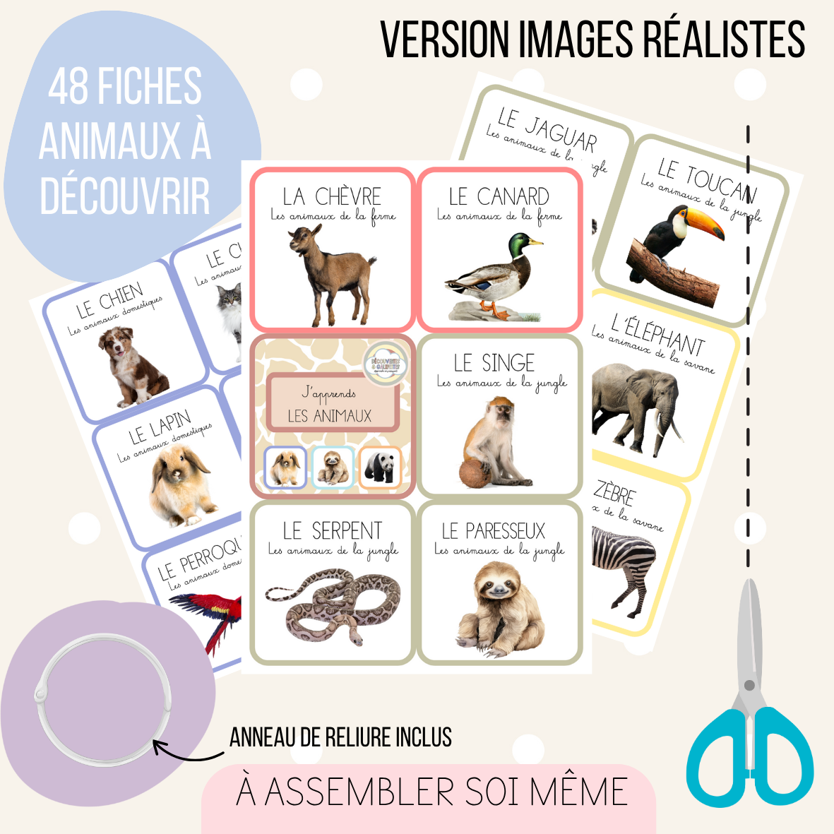 Imagier - Les animaux (version réaliste)